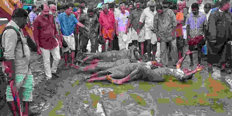 നടക്കാവ് മേൽപ്പാലം: ചെളിയിലുരുണ്ട് ആക്ഷൻ കൗൺസിൽ പ്രതിഷേധിച്ചു