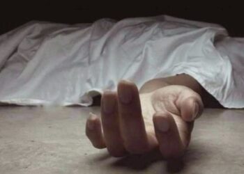 വടക്കേഞ്ചേരിയിൽ തെങ്ങ് കടപുഴകിവീണ് സ്ത്രീ മരിച്ചു