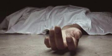 വടക്കേഞ്ചേരിയിൽ തെങ്ങ് കടപുഴകിവീണ് സ്ത്രീ മരിച്ചു