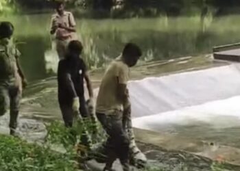 ഭവാനി പുഴയിൽ പുലി ചത്തത് തലയ്ക്കേറ്റ ക്ഷതം മൂലം