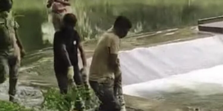 ഭവാനി പുഴയിൽ പുലി ചത്തത് തലയ്ക്കേറ്റ ക്ഷതം മൂലം