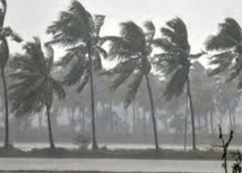 പാലക്കാട് ഇന്നും നാളെയും ഓറഞ്ച് അലെർട്ട്