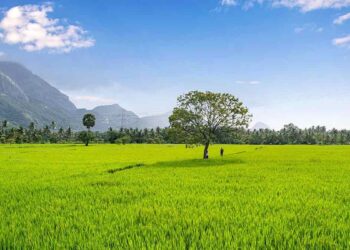 വിനോദസഞ്ചാരികൾക്കായി കൊല്ലങ്കോട് ഇൻഫർമേഷൻ സെന്റർ തുടങ്ങി
