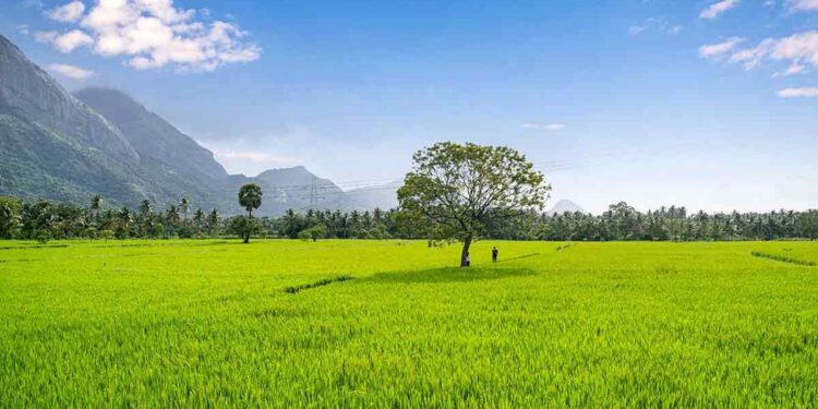 വിനോദസഞ്ചാരികൾക്കായി കൊല്ലങ്കോട് ഇൻഫർമേഷൻ സെന്റർ തുടങ്ങി