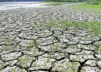 പാലക്കാട് ഉള്‍പ്പടെ ആറ് ജില്ലകളില്‍ കൊടും വരള്‍ച്ച