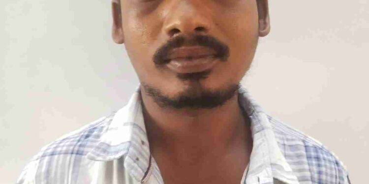 മാല മോഷ്ടാവിനെ ഉദുമൽപേട്ടയിൽ നിന്നും പോലീസ് പിടികൂടി.