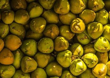 ജില്ലയില്‍ പച്ചത്തേങ്ങ സംഭരണം വൈകുന്നു