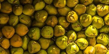 ജില്ലയില്‍ പച്ചത്തേങ്ങ സംഭരണം വൈകുന്നു