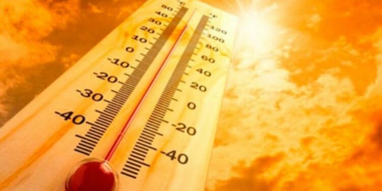 മാർച്ച്‌ 18 വരെ പാലക്കാട് ഉയർന്ന താപനില -കാലാവസ്ഥ വകുപ്പ്.