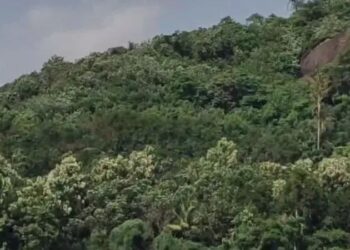 ശബ്ദവും മുഴക്കവും ഭൂകമ്പമായി രേഖപ്പെടുത്തിയിട്ടില്ല – ജിയോളജി വിഭാഗം