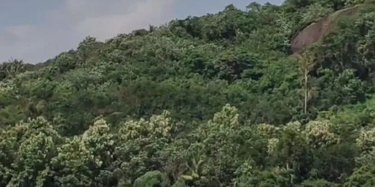 ശബ്ദവും മുഴക്കവും ഭൂകമ്പമായി രേഖപ്പെടുത്തിയിട്ടില്ല – ജിയോളജി വിഭാഗം