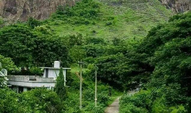 അനങ്ങൻ‌മലയിലെ കരിങ്കല്‍ ക്വാറിക്കെതിരെ കർശന നടപടി വേണമെന്ന ആവശ്യം ശക്തം