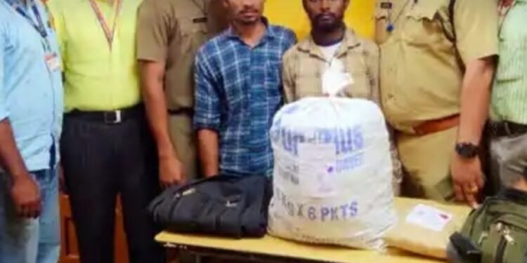 ഷൊര്‍ണൂര്‍ റെയില്‍വേ സ്റ്റേഷനില കഞ്ചാവ് വേട്ട.