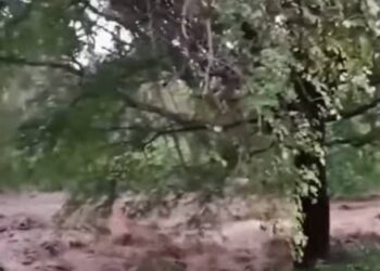 മലമ്പുഴയിൽ ഉരുള്‍പ്പൊട്ടലുണ്ടായതായി സംശയം