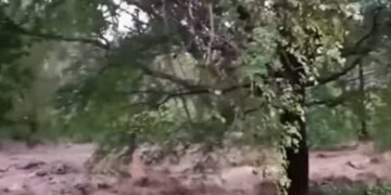 മലമ്പുഴയിൽ ഉരുള്‍പ്പൊട്ടലുണ്ടായതായി സംശയം