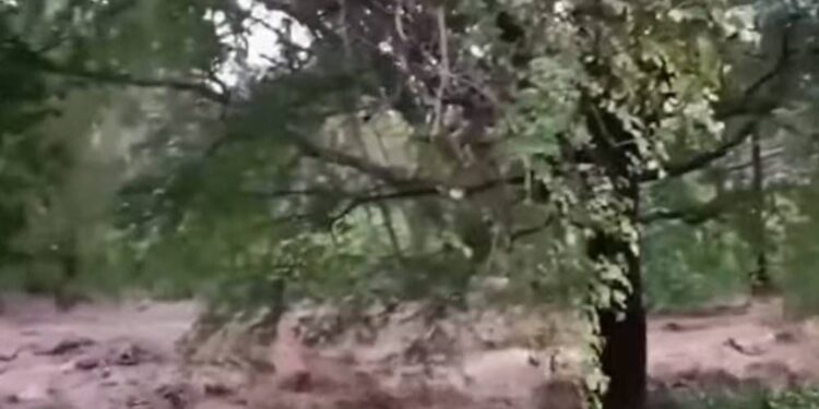 മലമ്പുഴയിൽ ഉരുള്‍പ്പൊട്ടലുണ്ടായതായി സംശയം