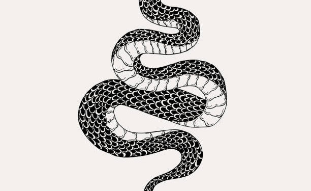 ഷൂസിനുള്ളില്‍ കിടന്ന വിഷപ്പാമ്പ് കടിച്ചു;