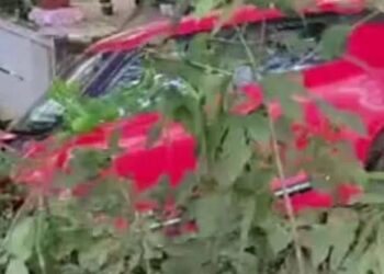 പട്ടാമ്പി റോഡിൽ കാര്‍ നിയന്ത്രണം വിട്ട് മറിഞ്ഞ് രണ്ടുപേര്‍ മരിച്ചു