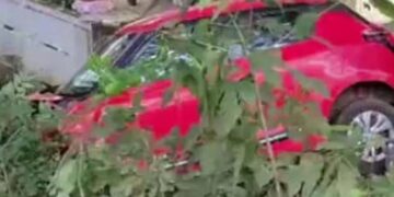 പട്ടാമ്പി റോഡിൽ കാര്‍ നിയന്ത്രണം വിട്ട് മറിഞ്ഞ് രണ്ടുപേര്‍ മരിച്ചു