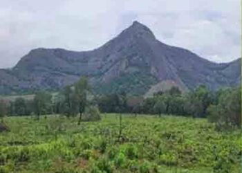 30 കോടി രൂപ ചെലവിൽ ക്രിക്കറ്റ് സ്റ്റേഡിയം പദ്ധതി അകത്തേത്തറയിൽ