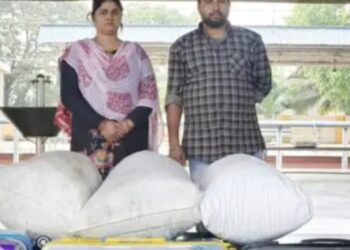 ഒലവക്കോട് റെയില്‍വേ സ്റ്റേഷനില്‍ വൻ കഞ്ചാവ് വേട്ട