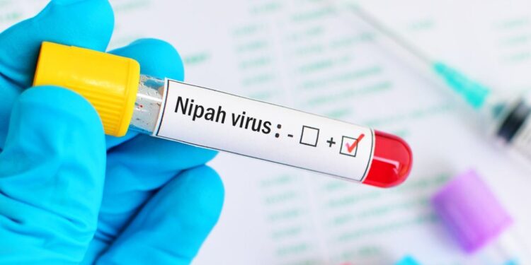 നിപ: 5 വാർഡുകൾ കണ്ടെയ്ൻമെന്റ് സോണാക്കി