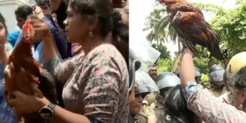മഹിളാ മോര്‍ച്ചക്കാര്‍ സമരത്തിന് കൊണ്ടുവന്ന കോഴി ചത്തു; അന്വേഷണം വേണമെന്ന് പരാതി