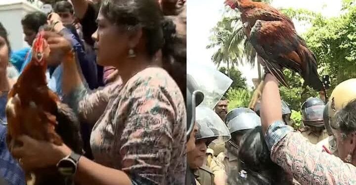 മഹിളാ മോര്‍ച്ചക്കാര്‍ സമരത്തിന് കൊണ്ടുവന്ന കോഴി ചത്തു; അന്വേഷണം വേണമെന്ന് പരാതി