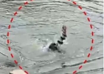 ചിറ്റൂരില്‍ കോസ് വേയുടെ ഓവില്‍ കുടുങ്ങി രണ്ട് വിദ്യാര്‍ഥികള്‍ക്ക് ദാരുണാന്ത്യം