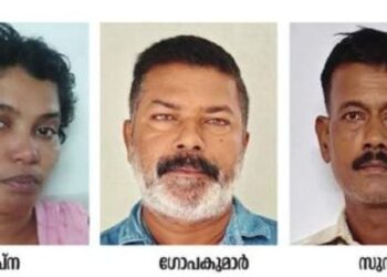 കഞ്ചാവ് കടത്തിയ കേസിൽ മുഖ്യപ്രതി പിടിയിൽ