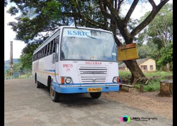 ഓടുന്ന കെഎസ്‌ആര്‍ടിസി ബസിന് മുകളില്‍ മരം പൊട്ടി വീണു; ഡ്രൈവര്‍ക്ക് പരിക്ക്