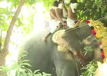 ശ്രീകൃഷ്ണ ജയന്തി ഘോഷയാത്രക്കിടെ ആന ഇടഞ്ഞു പാപ്പാന് പരിക്കേറ്റു.