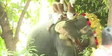 ശ്രീകൃഷ്ണ ജയന്തി ഘോഷയാത്രക്കിടെ ആന ഇടഞ്ഞു പാപ്പാന് പരിക്കേറ്റു.