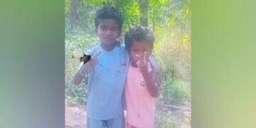 അട്ടപ്പാടിയില്‍ വീട് ഇടിഞ്ഞ് സഹോദരങ്ങള്‍ മരിച്ചു