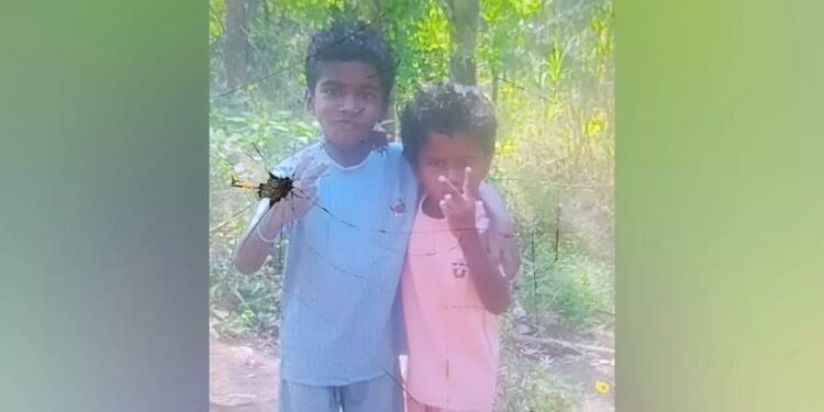 അട്ടപ്പാടിയില്‍ വീട് ഇടിഞ്ഞ് സഹോദരങ്ങള്‍ മരിച്ചു