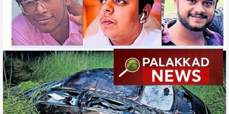 പാടത്തേക്കു മറിഞ്ഞ് 3 മരണം; അപകടത്തിൽപെട്ടത് യാത്രപോയ സുഹൃത്തുക്കൾ