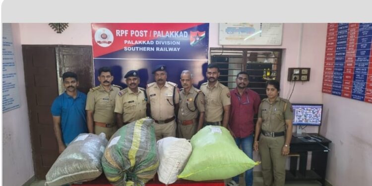ട്രെയിനിൽ നടത്തിയ പരിശോധനയിൽ 50.440 കിലോഗ്രാം കഞ്ചാവ് പിടികൂടി