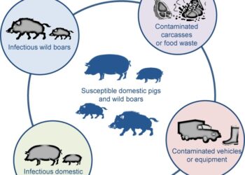 തിരുമിറ്റക്കോട്  ആഫ്രിക്കൻ പന്നിപ്പനി സ്ഥിരീകരിച്ചു: