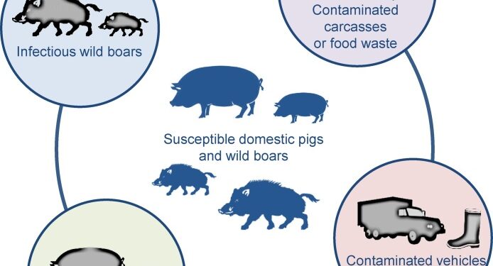 തിരുമിറ്റക്കോട്  ആഫ്രിക്കൻ പന്നിപ്പനി സ്ഥിരീകരിച്ചു: