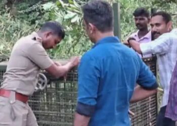 മലമ്പുഴയിലിറങ്ങിയ പുലിയെ പിടികൂടാൻ കൂട് സ്ഥാപിച്ച് വനം വകുപ്പ്