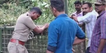 മലമ്പുഴയിലിറങ്ങിയ പുലിയെ പിടികൂടാൻ കൂട് സ്ഥാപിച്ച് വനം വകുപ്പ്