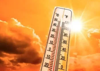 കൊടുംചൂട്: പാലക്കാട് 38 ഡിഗ്രി കടന്നു